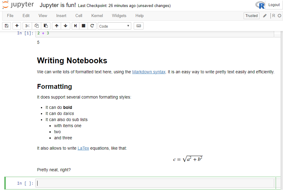 R notebook markdown template