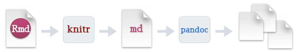_images/Rmd_workflow.png